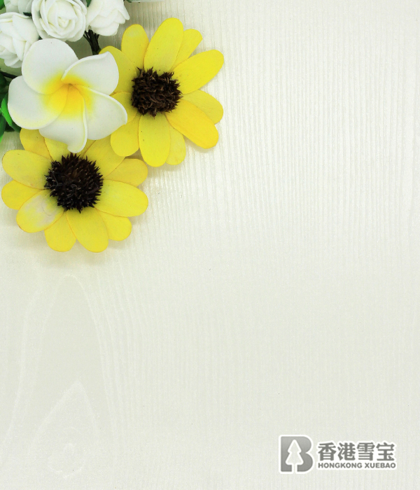 【雪寶板材】中國板材十大品牌