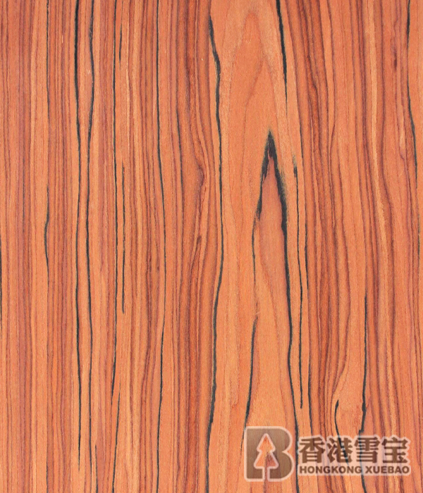 中國板材十大名牌