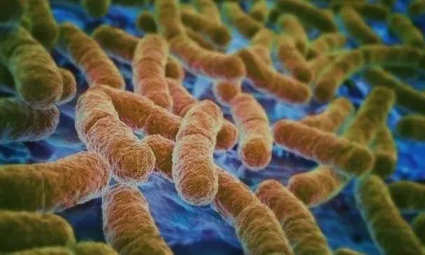 ѩùʲôʲôҪʹÿù壿