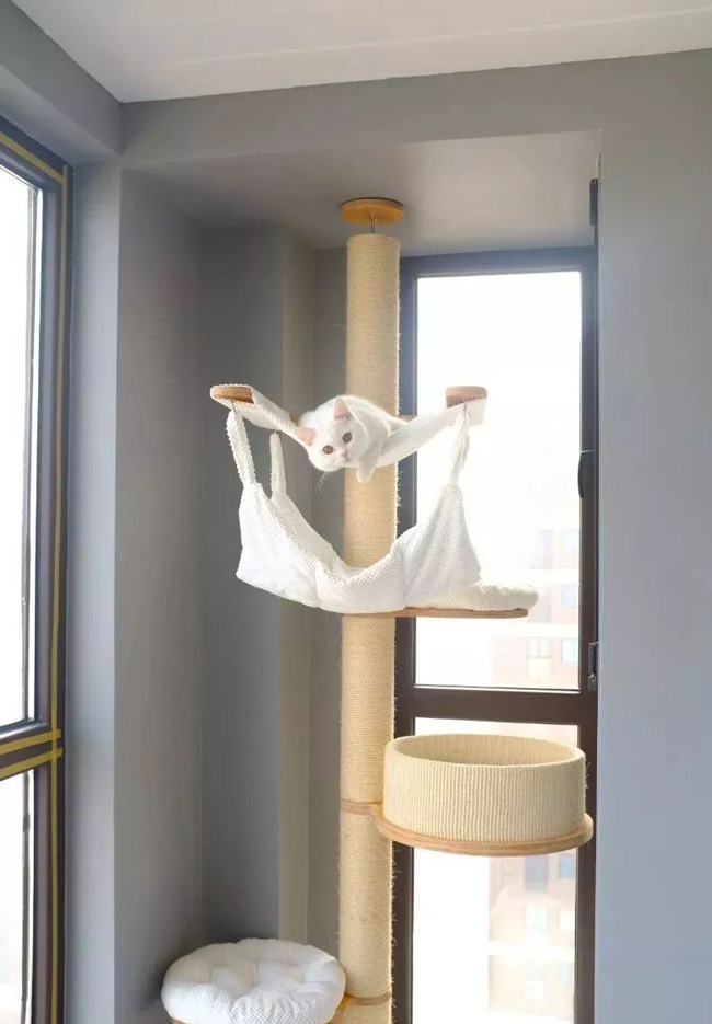 家有寵物如何裝修自己的家呢?這些案例能帶來啟發!