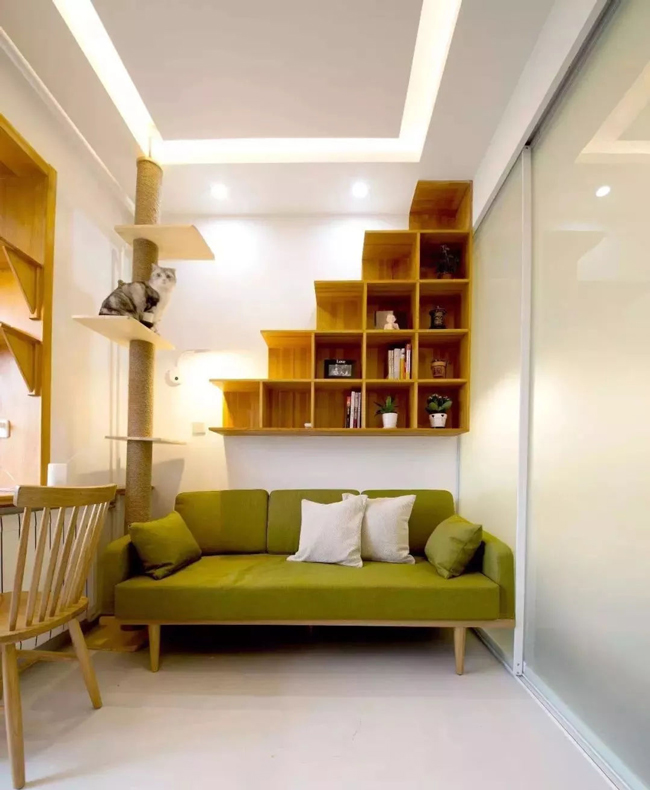家有寵物如何裝修自己的家呢?這些案例能帶來啟發!