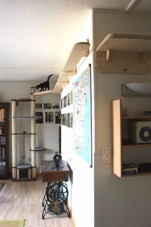 家有寵物如何裝修自己的家呢?這些案例能帶來啟發!